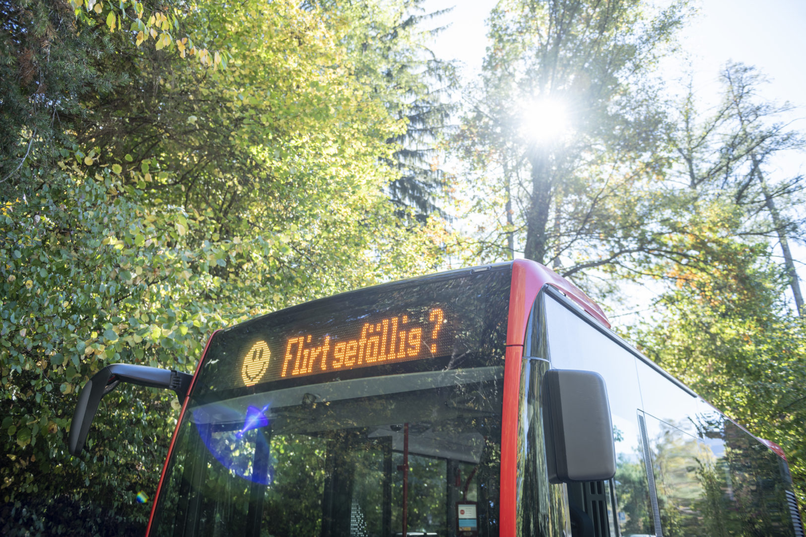 Unverhoffte Lichtblicke